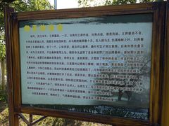 -御林古桑园
