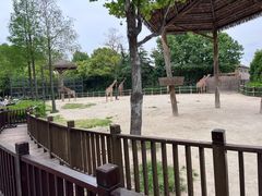 -上海野生动物园