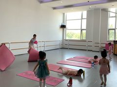 -中央芭蕾舞团·中芭艺蕾(酒仙桥明星校区)