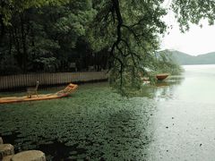 -东湖落雁景区