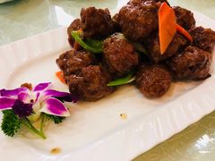 -宝发园名菜馆