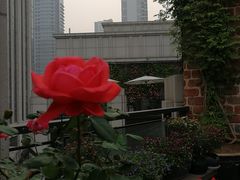 -瓦库茶馆17号(海汇港店)