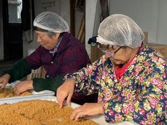 -苏州市吴中区光福窑上花果蜜饯厂