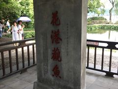 -西湖外事游船(花港观鱼码头)