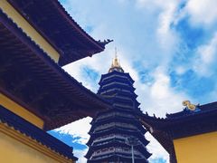 -红梅公园