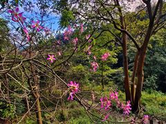 -飞霞风景名胜区