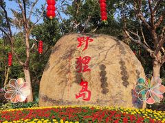 -野狸岛