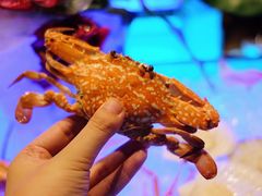 -长沙北辰洲际酒店-兰调全日餐厅