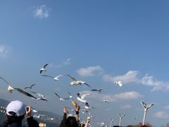 -滇池海埂公园