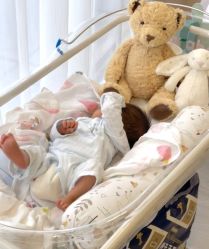 -海豚湾高端月子会所(黄浦店)