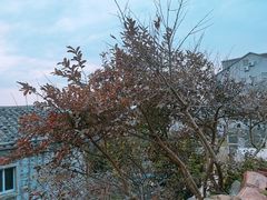 -平潭岛•仙人井