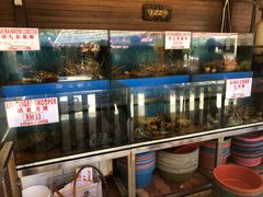 -真浪花园海鲜餐馆