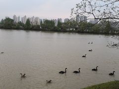 -艾溪湖湿地公园