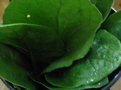 -木辛水水冰煮羊(凤城六路店)