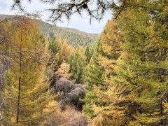 -苏木山森林公园