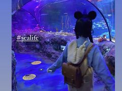 -沈阳海洋探索中心