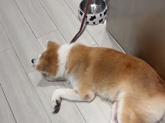 -YCHL Studios健身工作室(市二宫店)