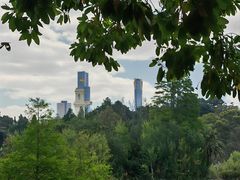 -墨尔本皇家植物园