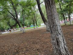 -长白岛森林公园