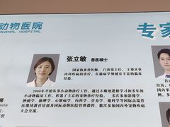-北京观赏动物医院·24小时大型综合·猫专科·异宠专科