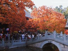 -香山公园