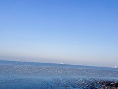 -上海吴淞炮台湾国家湿地公园