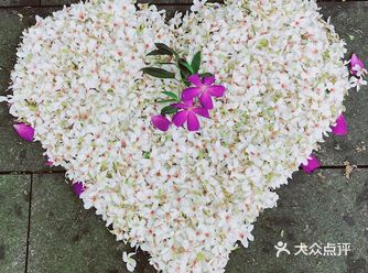 周末放假肯定要去逛公园呀