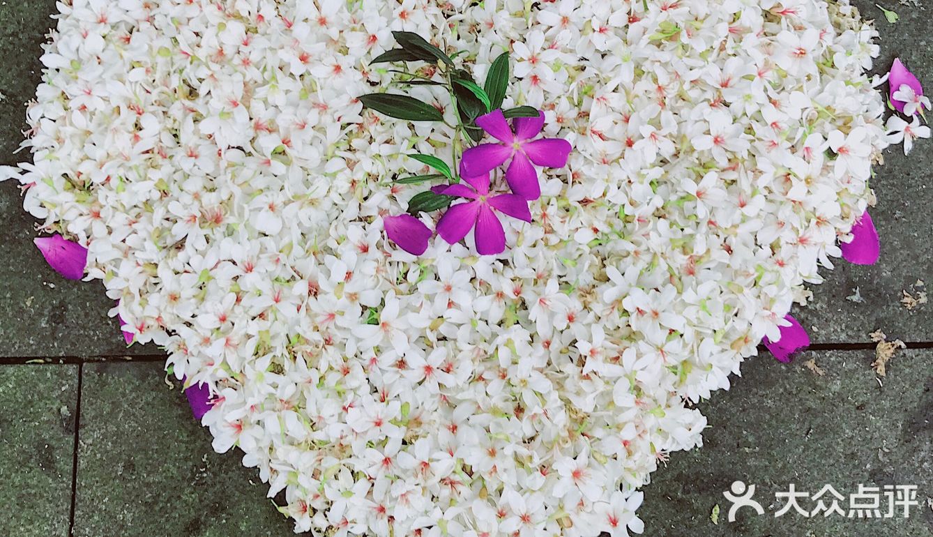 周末放假肯定要去逛公园呀