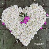 周末放假肯定要去逛公园呀