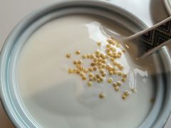 -十二毡房蒙餐·蒙古包