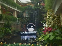 -白天鹅宾馆-宏图府餐厅