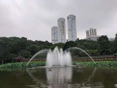 -龙头寺公园