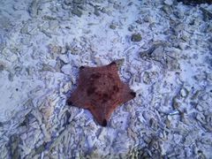 -横店影视城梦幻谷园区