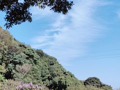 -梧桐山风景名胜区