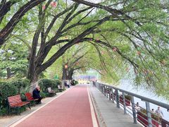 -沙澧河风景区