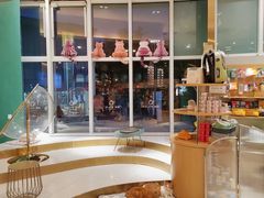 -飞行喵MR PILOT|猫舍·猫咖(静安大融城店)