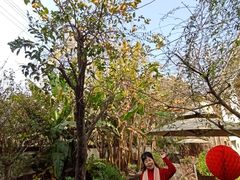 -悦哉·派对·草坪婚礼·围炉煮茶(三圣乡店)