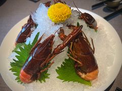 -福玺荟(外滩罗斯福店)