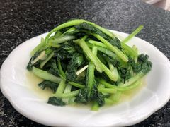 清炒菊花菜-海韵人家.海景花园经典云南菜(双廊店)