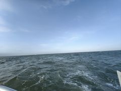 -日照世帆赛基地