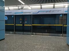 -大龙山(地铁站)