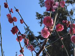 -苏州文庙(姑苏区)