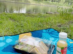 -上海共青森林公园