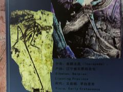 -世界恐龙谷景区