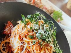 -百好乐宠物友好餐厅(朝外大街店)