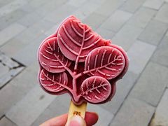 -香山公园