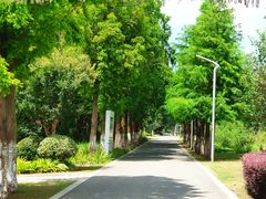 -昆山城市生态森林公园