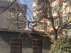 -小龙坎老火锅(红旗街店)