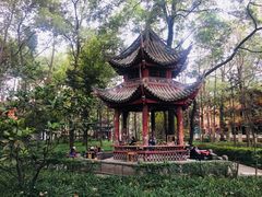 -洞子口张老二凉粉(文殊院店)