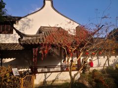 -上海醉白池公园